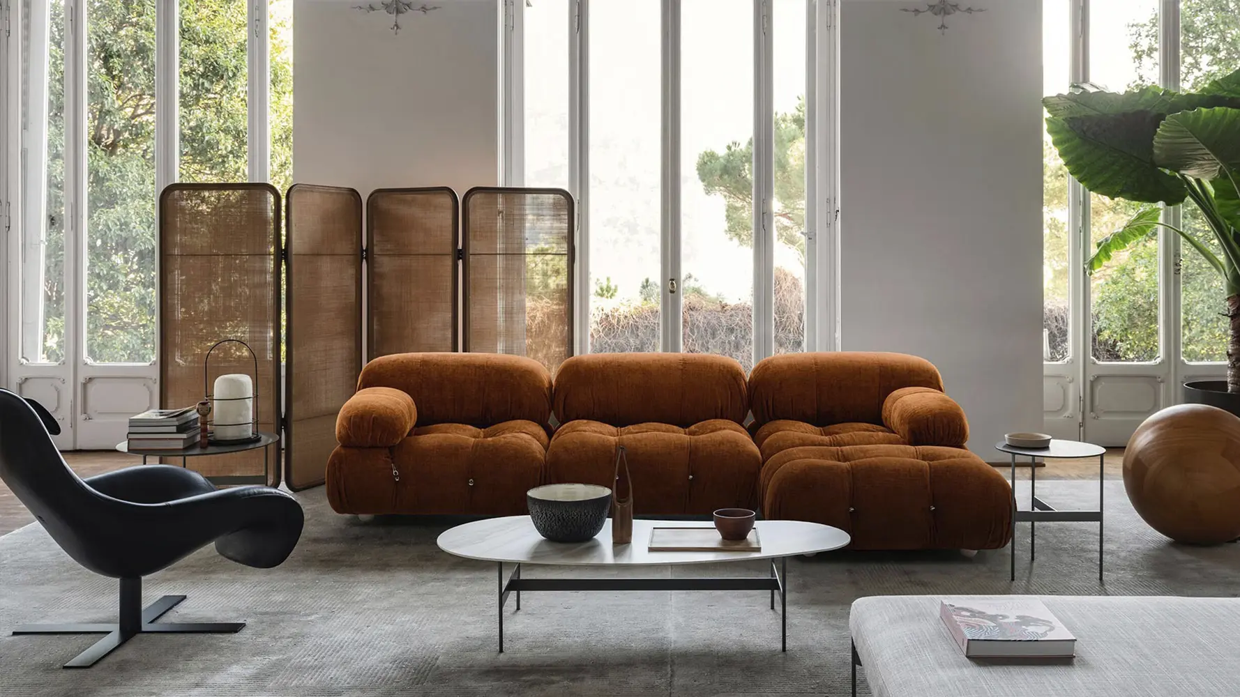 Imagem Galeria Camaleonda 5