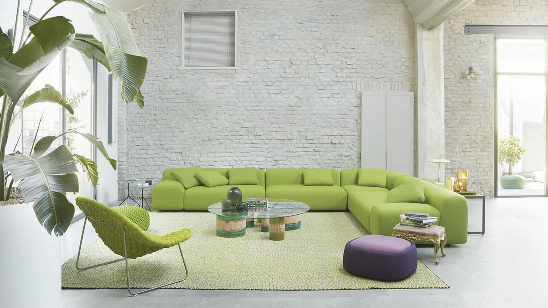 Imagem Galeria Cerchi 4