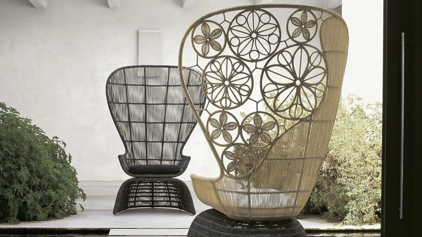 Imagem Galeria Crinoline