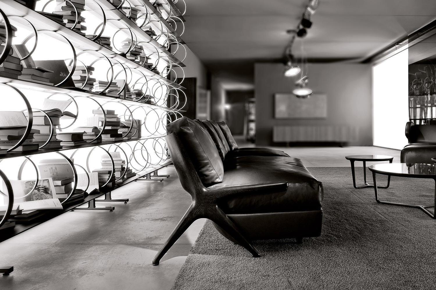 estante flying circles