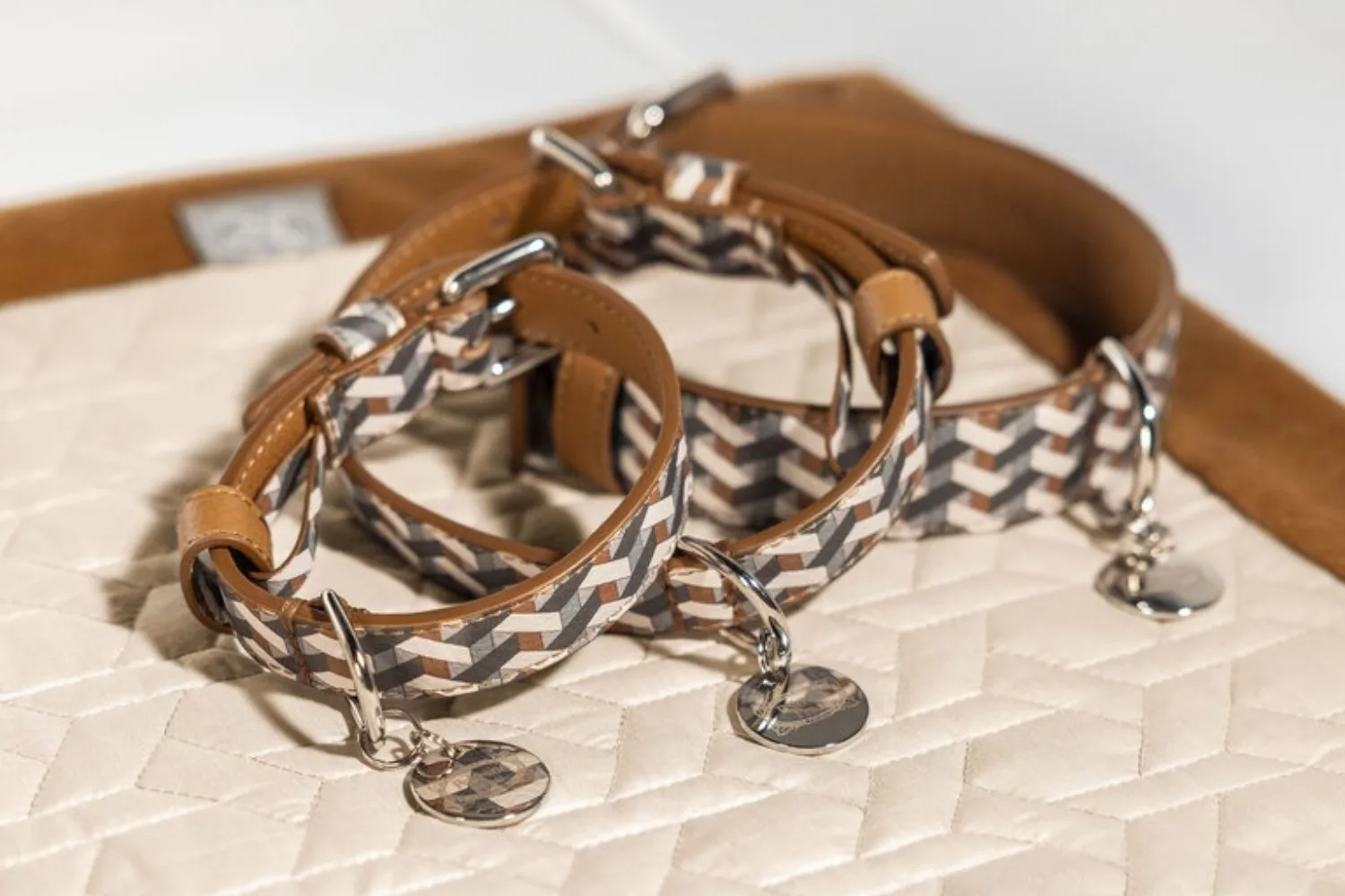 Acessórios Pet Collection 6