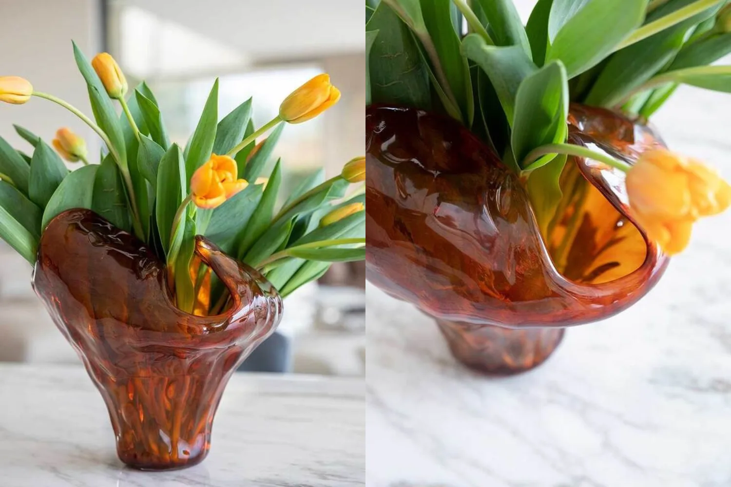 Vaso Water Illusion 5