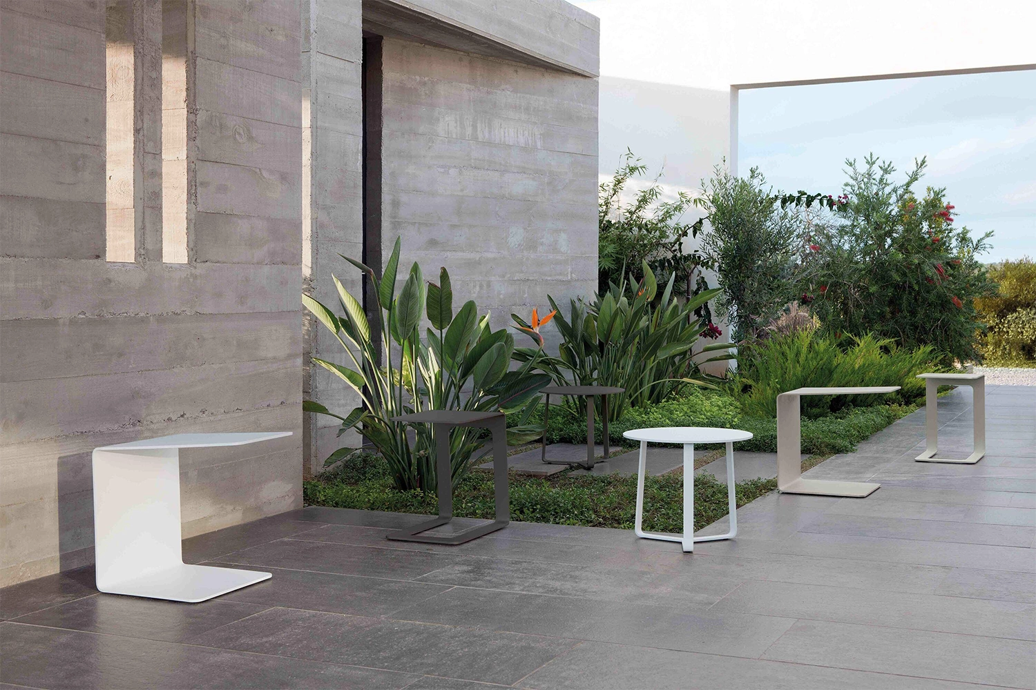 C03_1000X1500-CARROSSEL-copiar-69