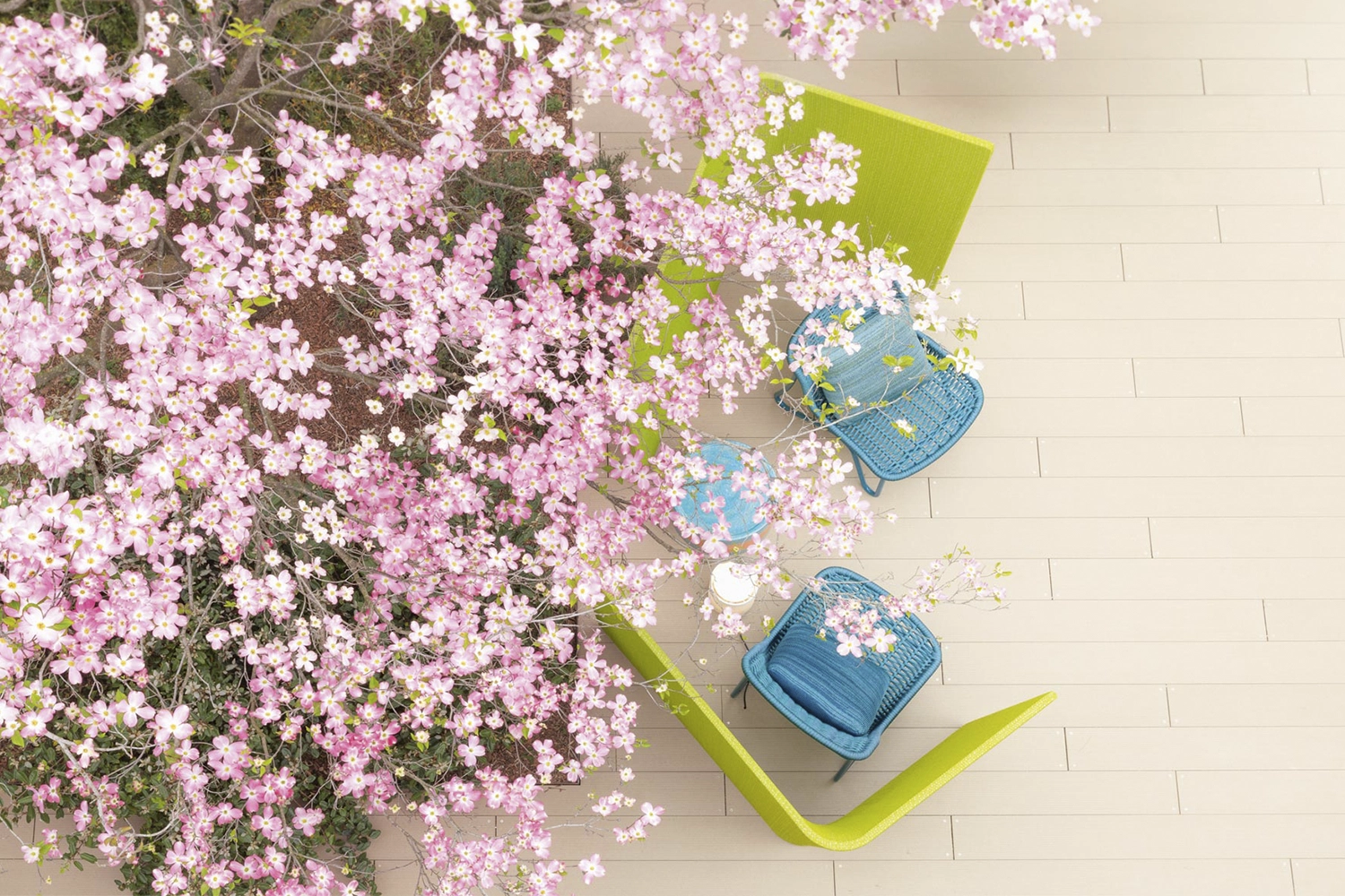 C02_CARROSSEL-Recuperado