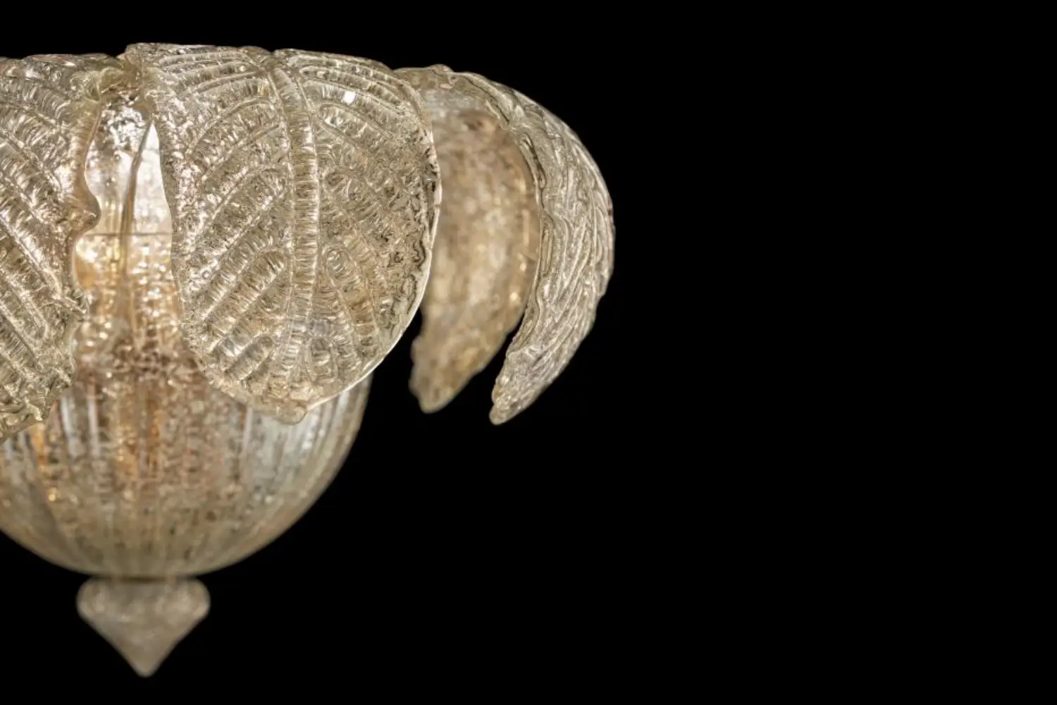 rex_5388_or_ol_part-01-copia