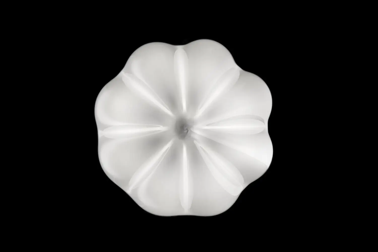 vallonneopale_7399_bb_cn_03_1