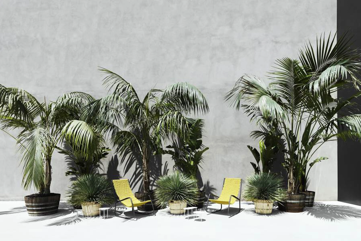 C02_1000X1500-CARROSSEL-copiar-209