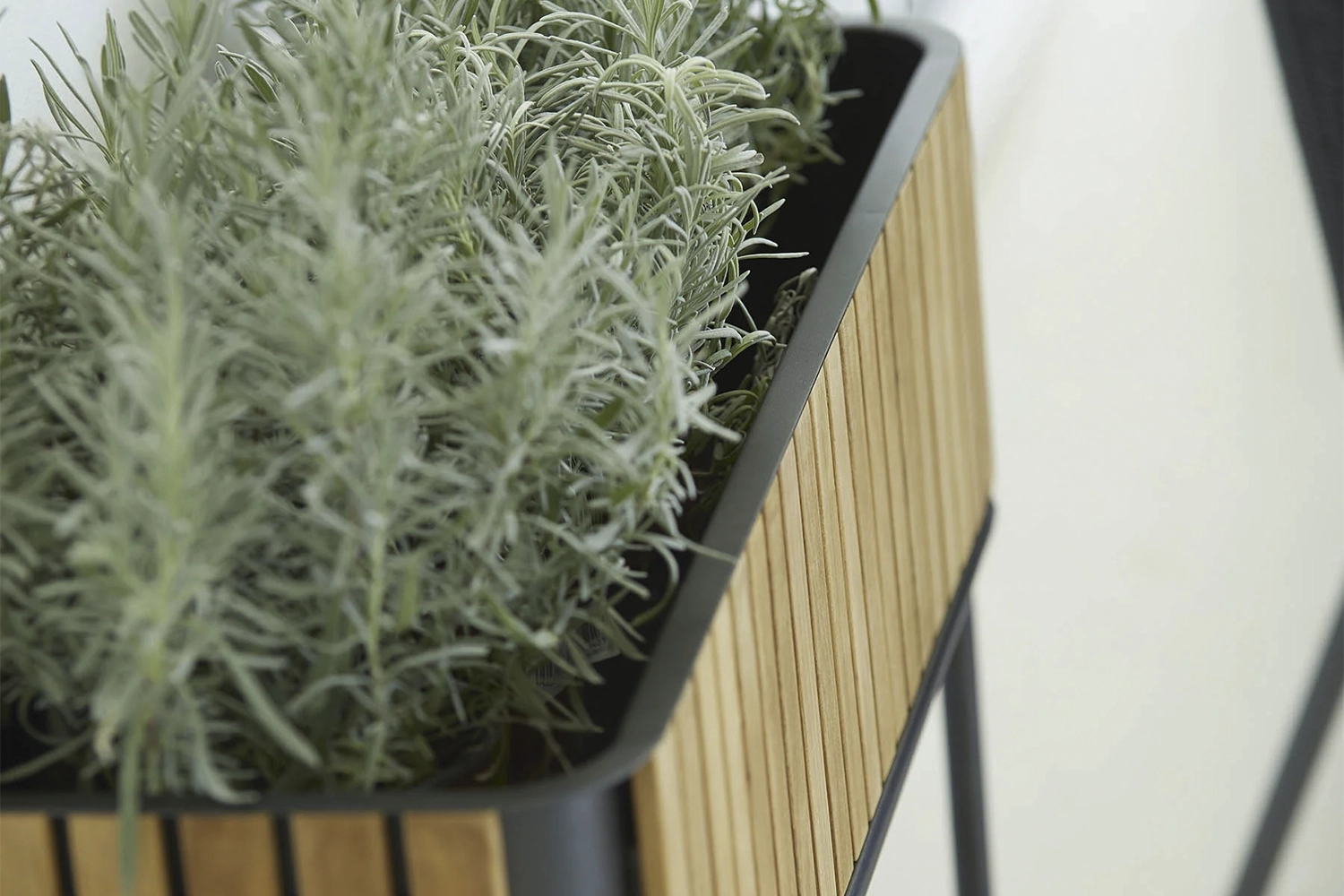 C04_1000X1500-CARROSSEL-copiar-97