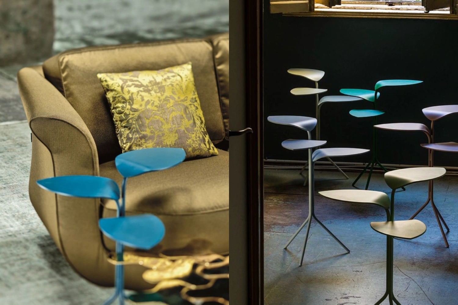 Mesa Lateral Morning Glory 4