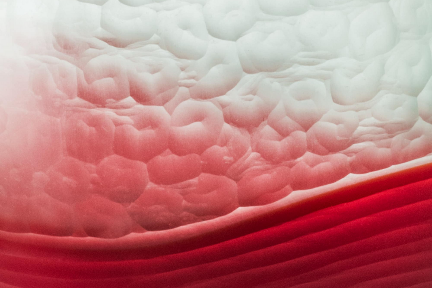 Vaso Battuto Bicolore''