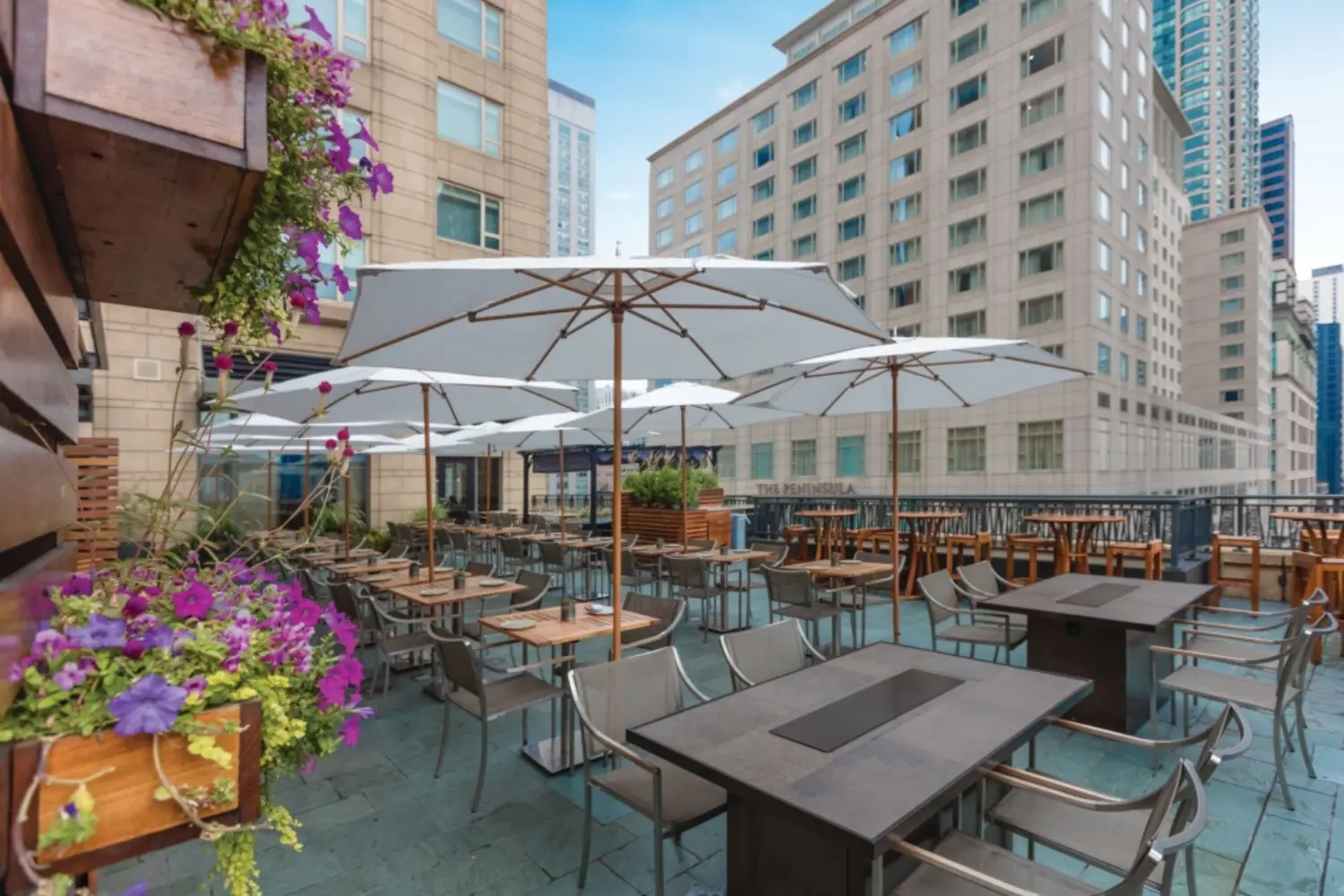 bay master m1 classic (2)