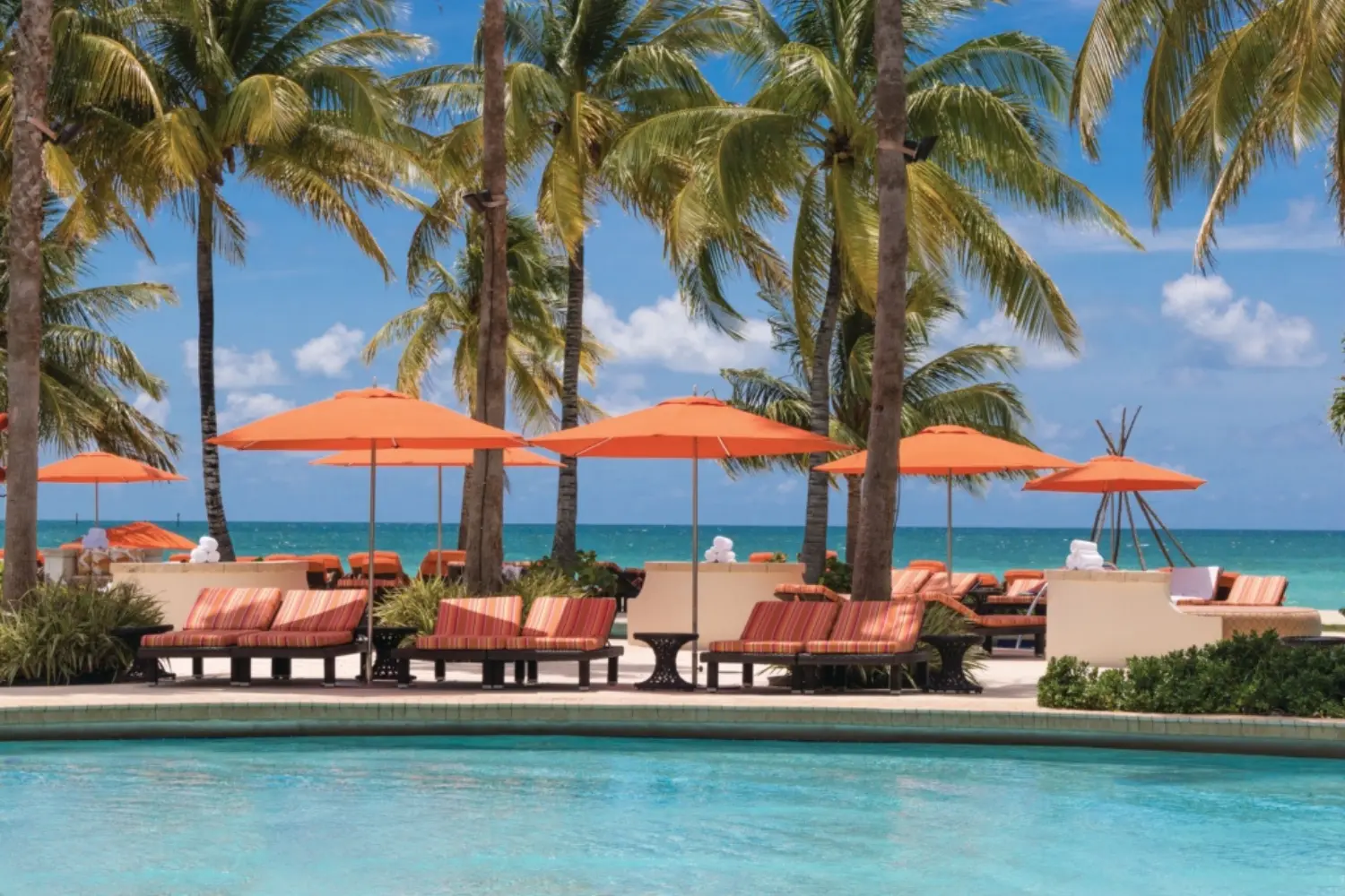 ocean master m1 classic