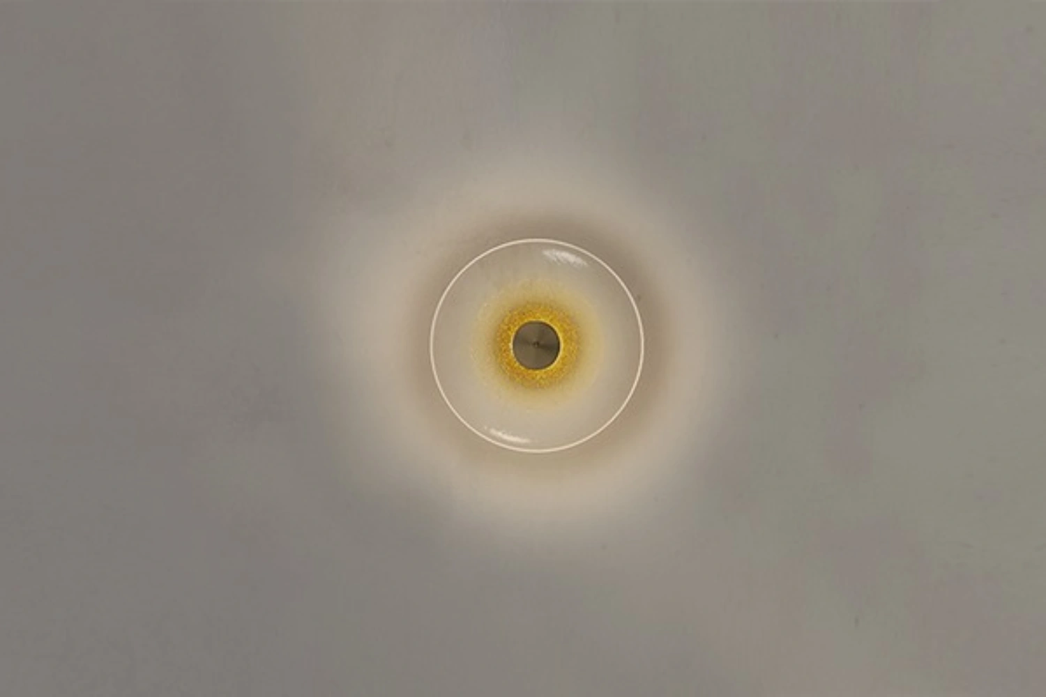 Arandela Golden Disc 3