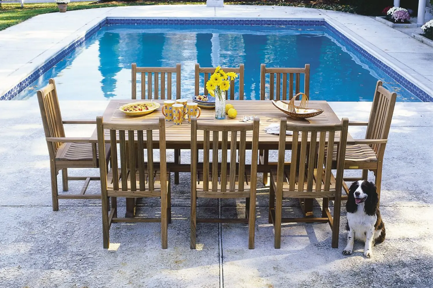 cadeira de jantar classic (5)