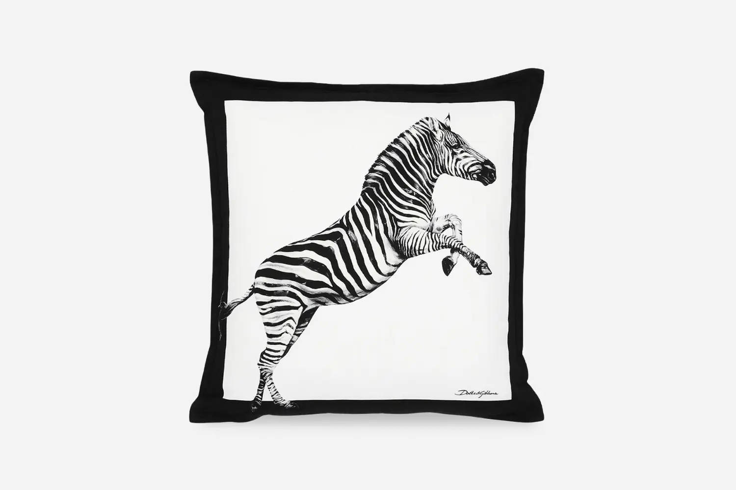 Almofada Zebra4