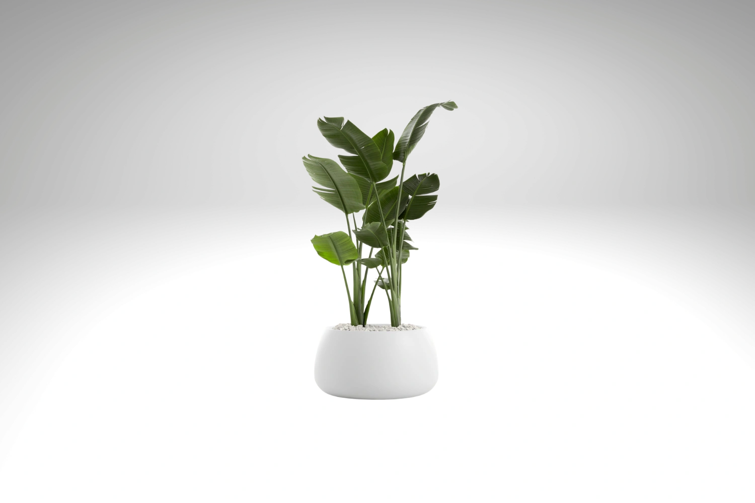 Gobi 1 Planter 02