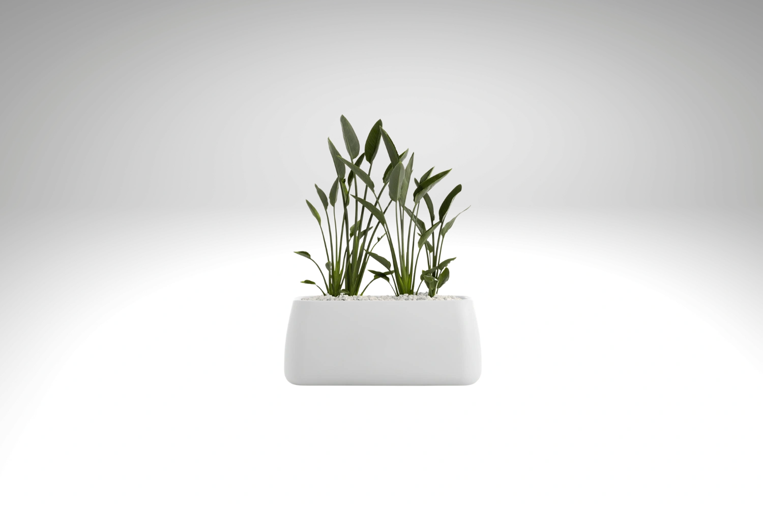 Gobi 1 Planter 03