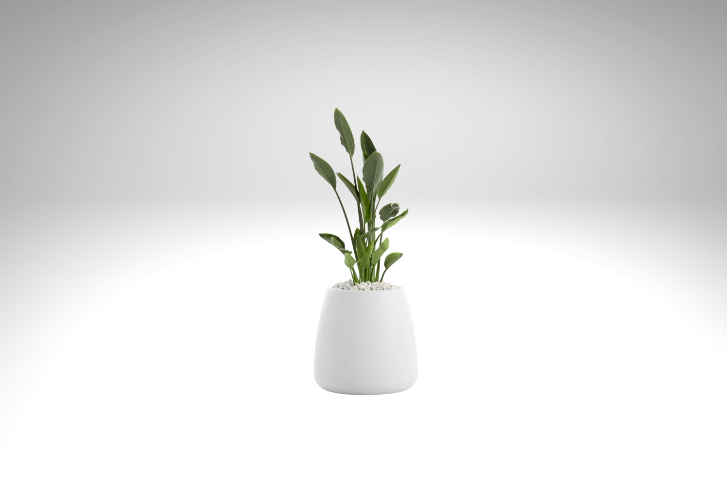 Gobi 1 Planter 04