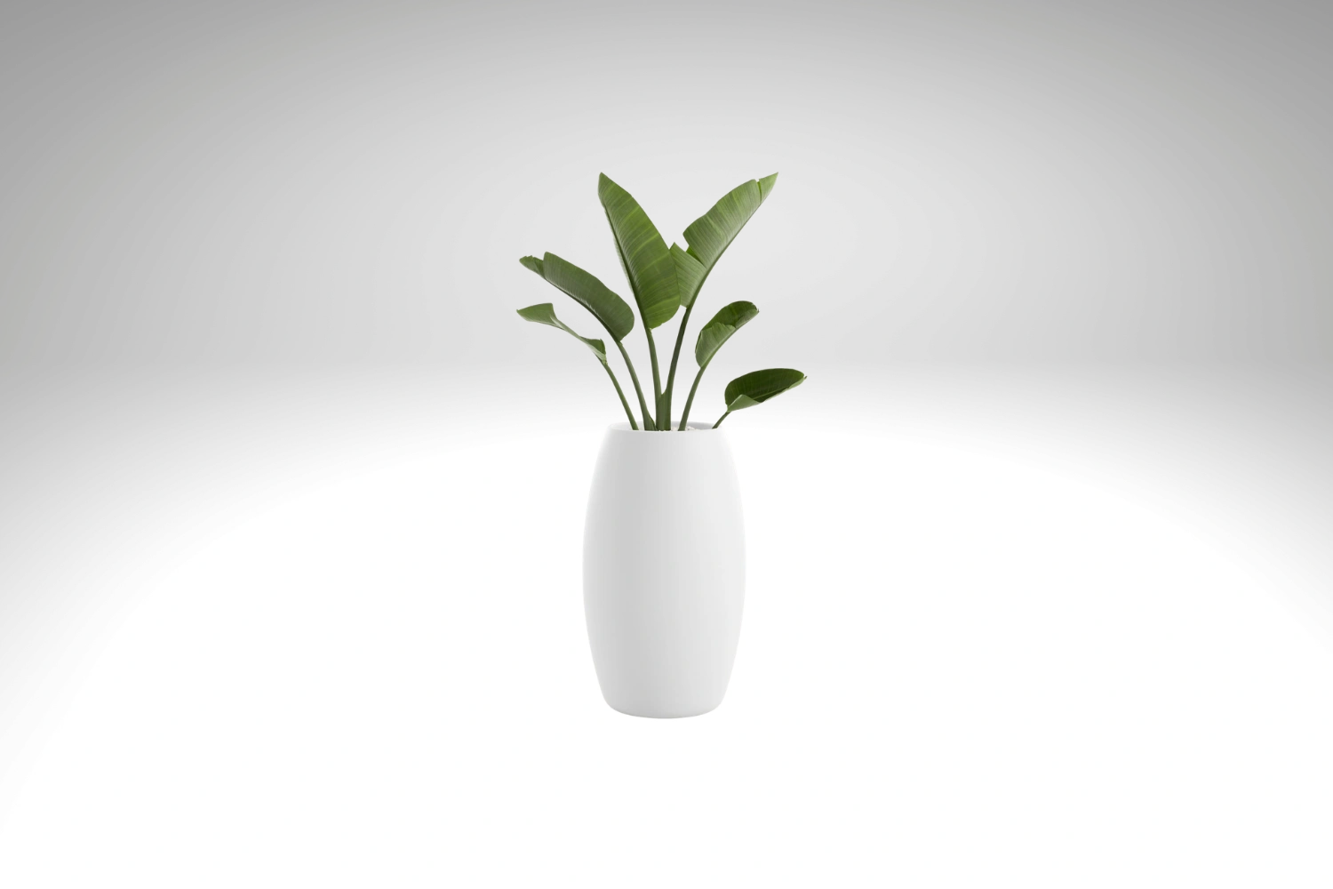 Gobi 1 Planter 05