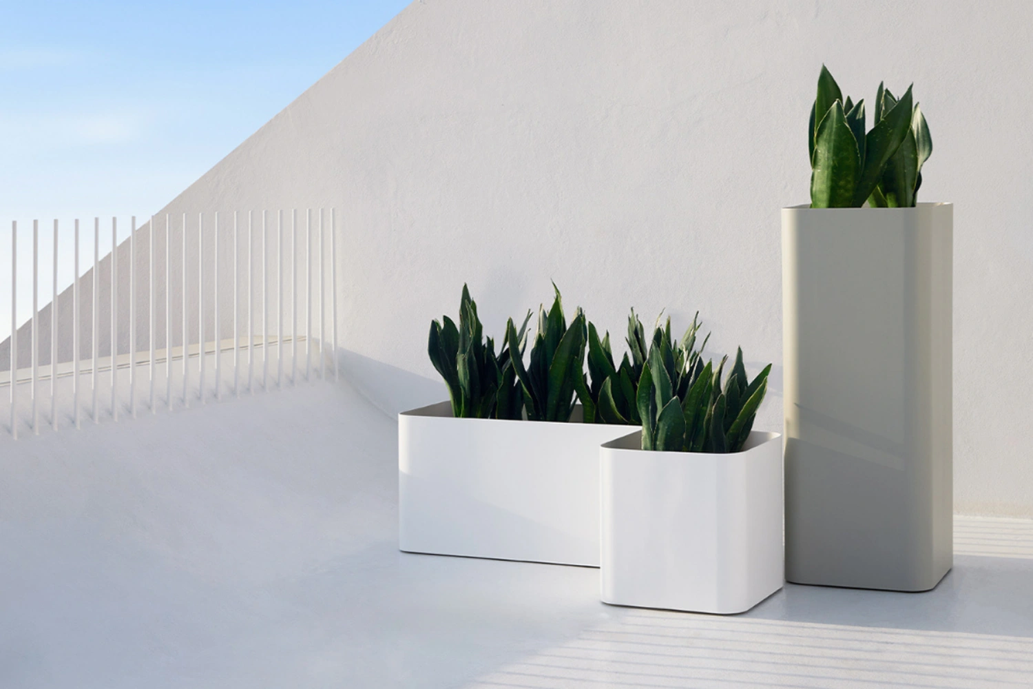 Sonora Planter 03