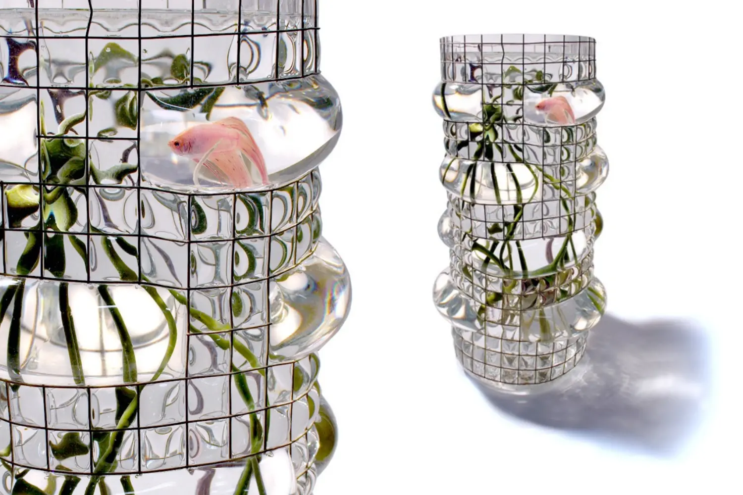 Vaso Aquarius Géant1