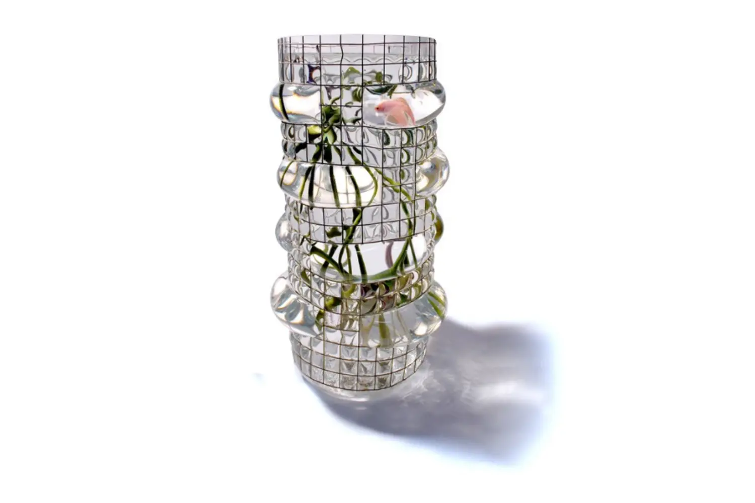 Vaso Aquarius Géant2