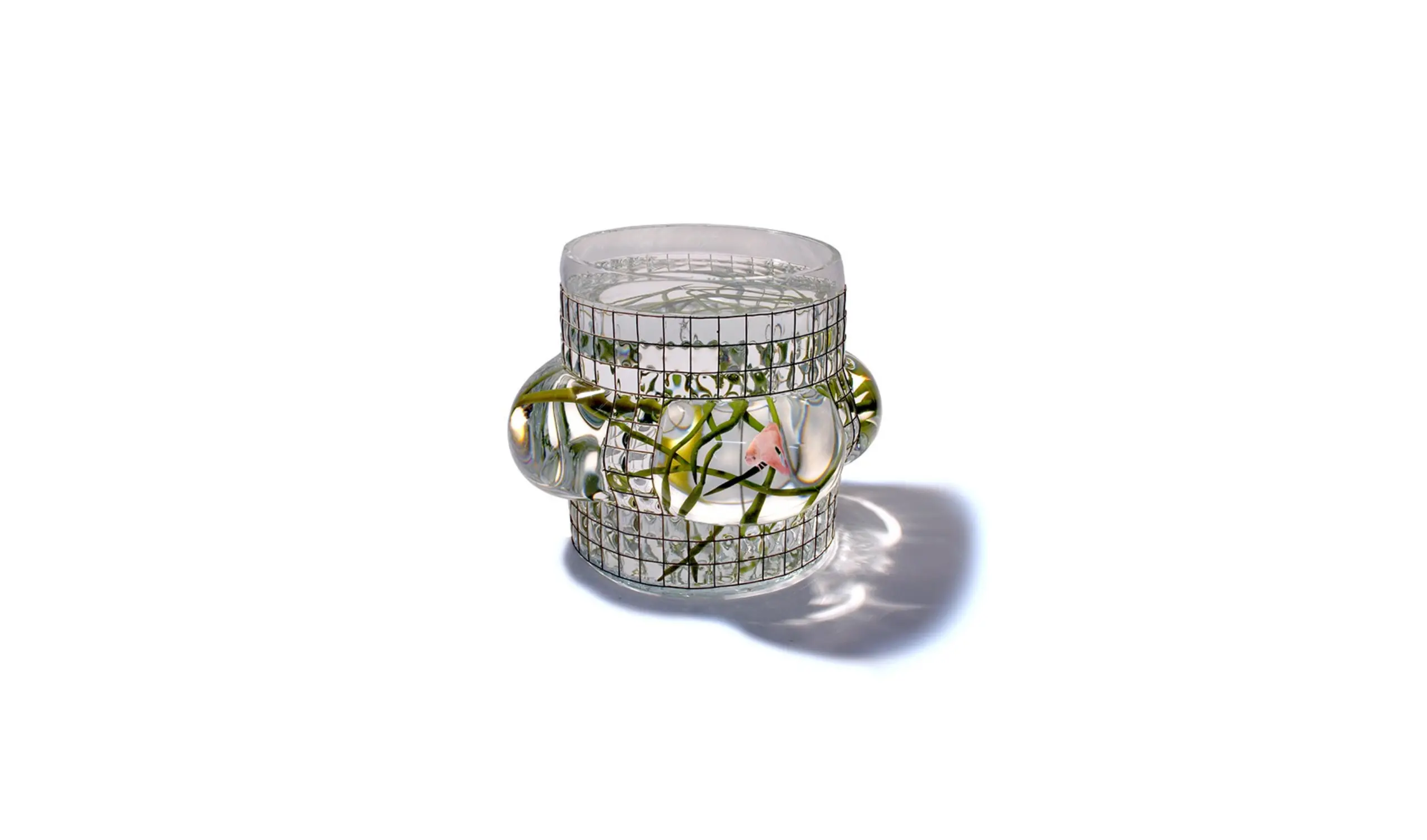 Vaso Aquarius Panoramic