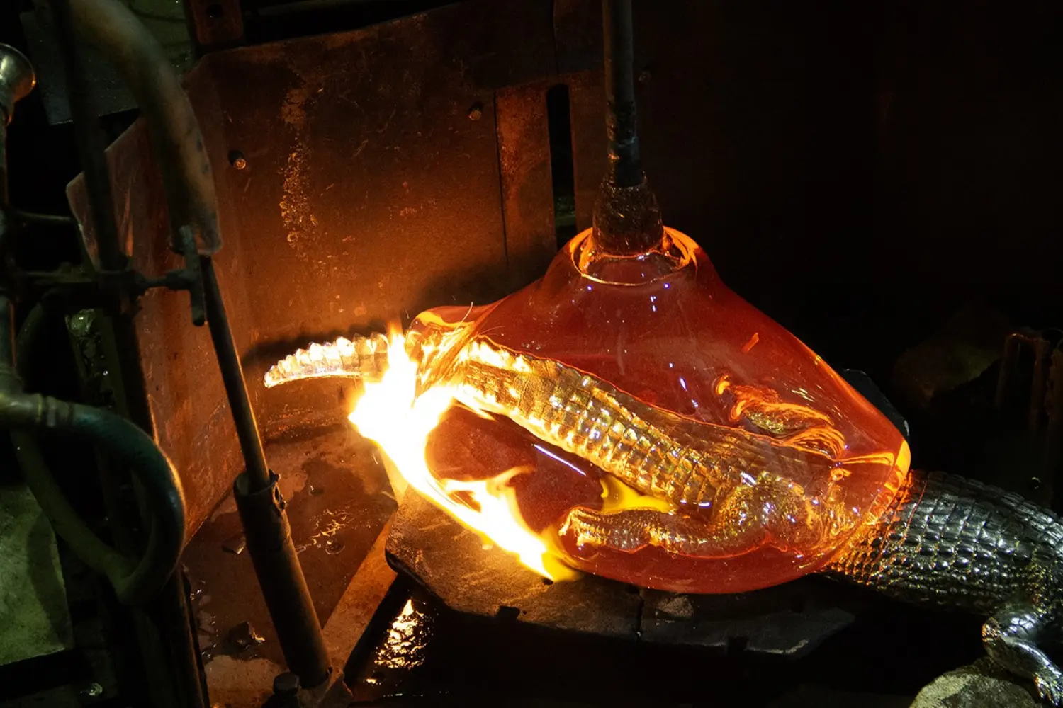 Vaso Coupe Mangrove1