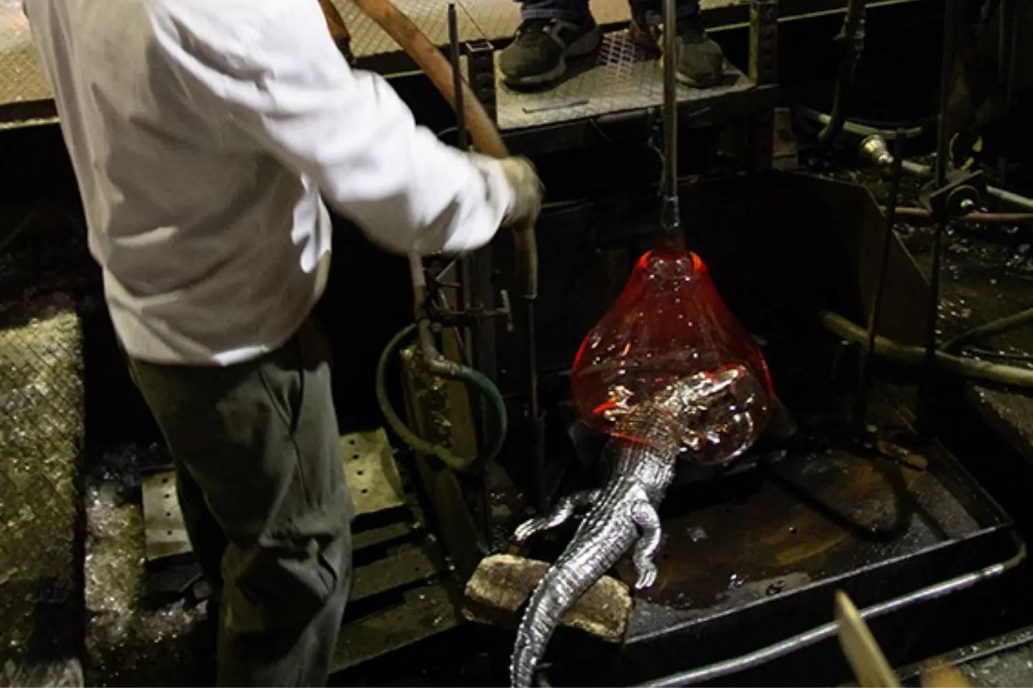 Vaso Coupe Mangrove2