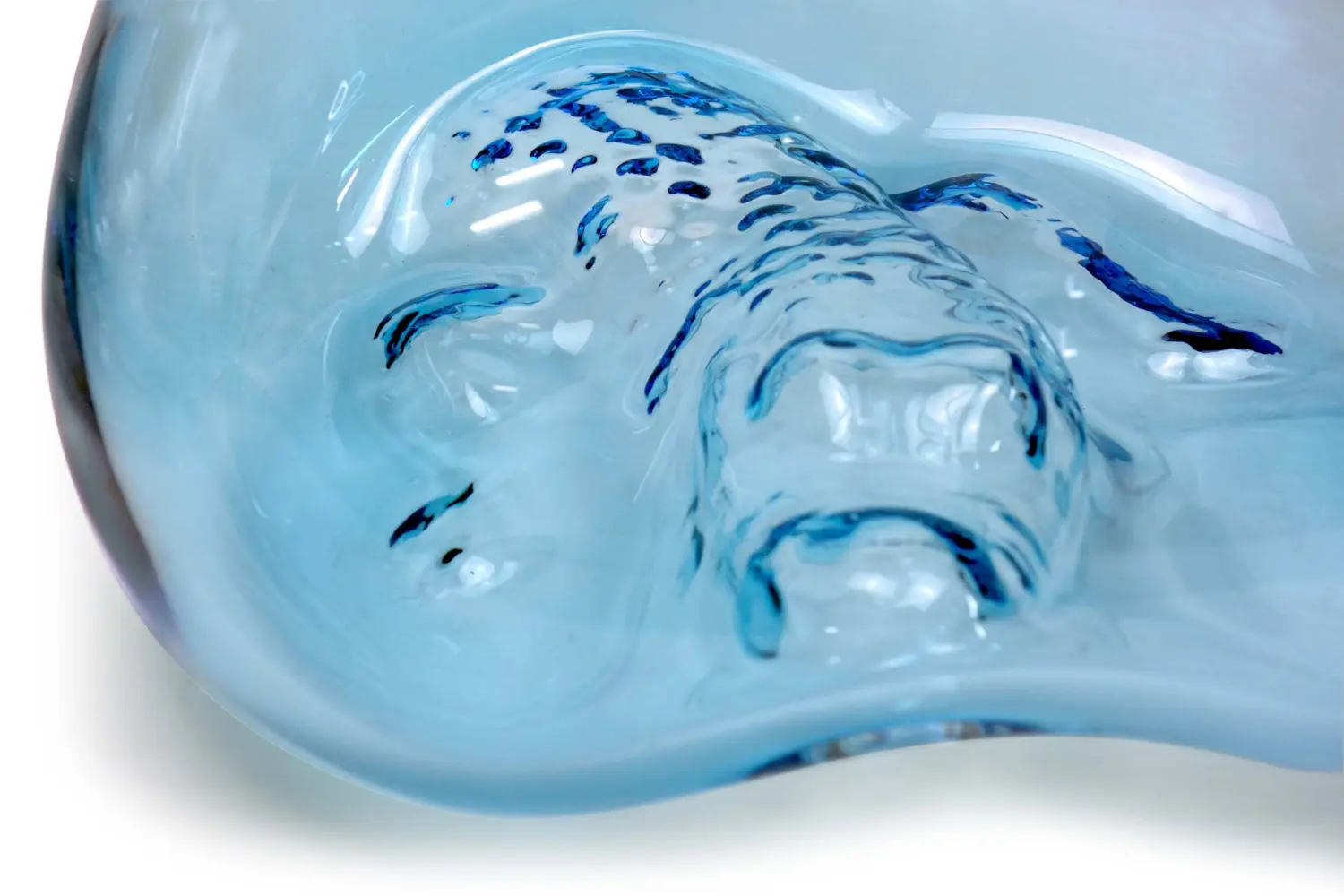 Vaso Coupe Mangrove4