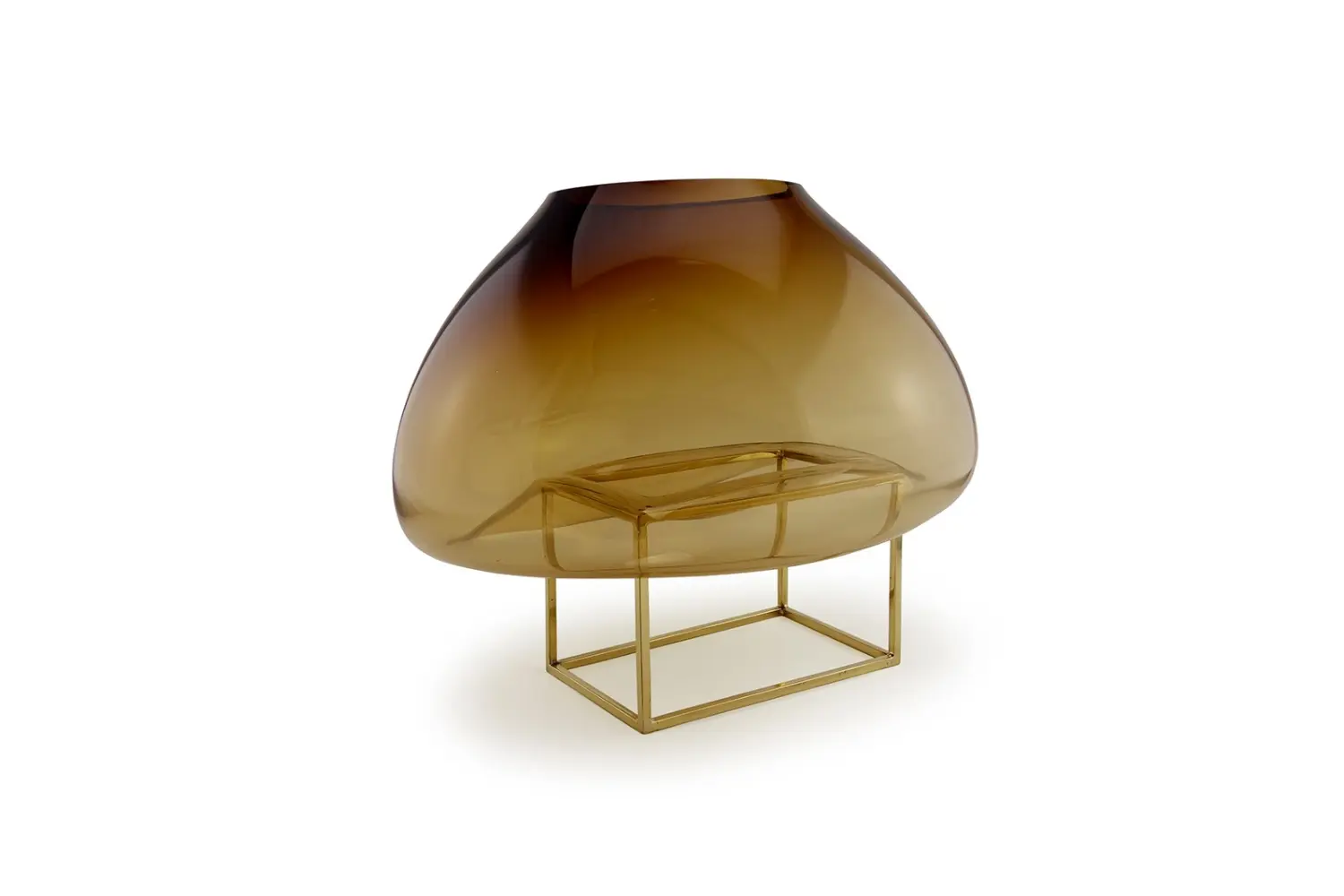 Vaso Gravity Cage Low1