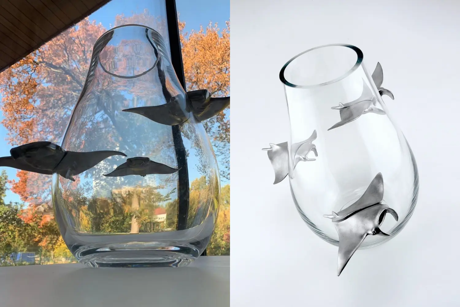 Vaso Manta No Limit1