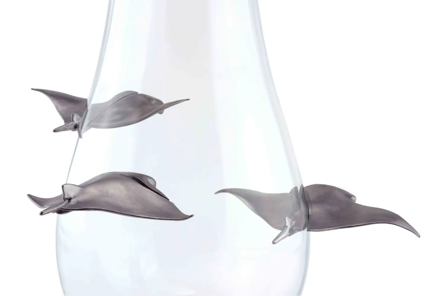 Vaso Manta No Limit2