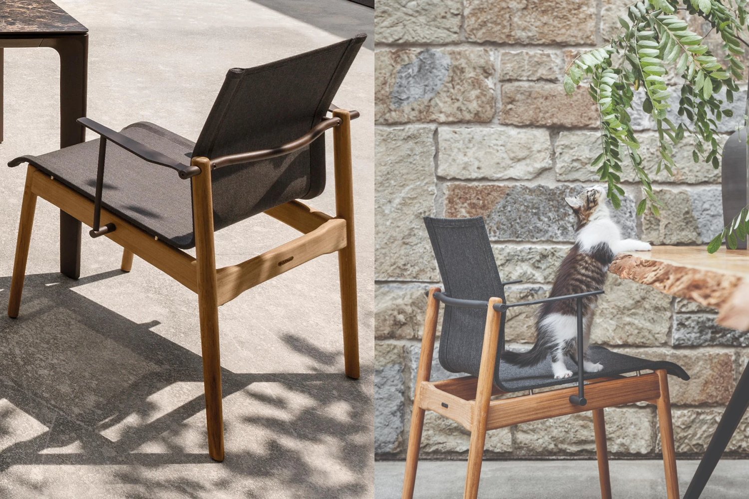 sway_teak_stacking_dining_chair_with_arms_03_1x