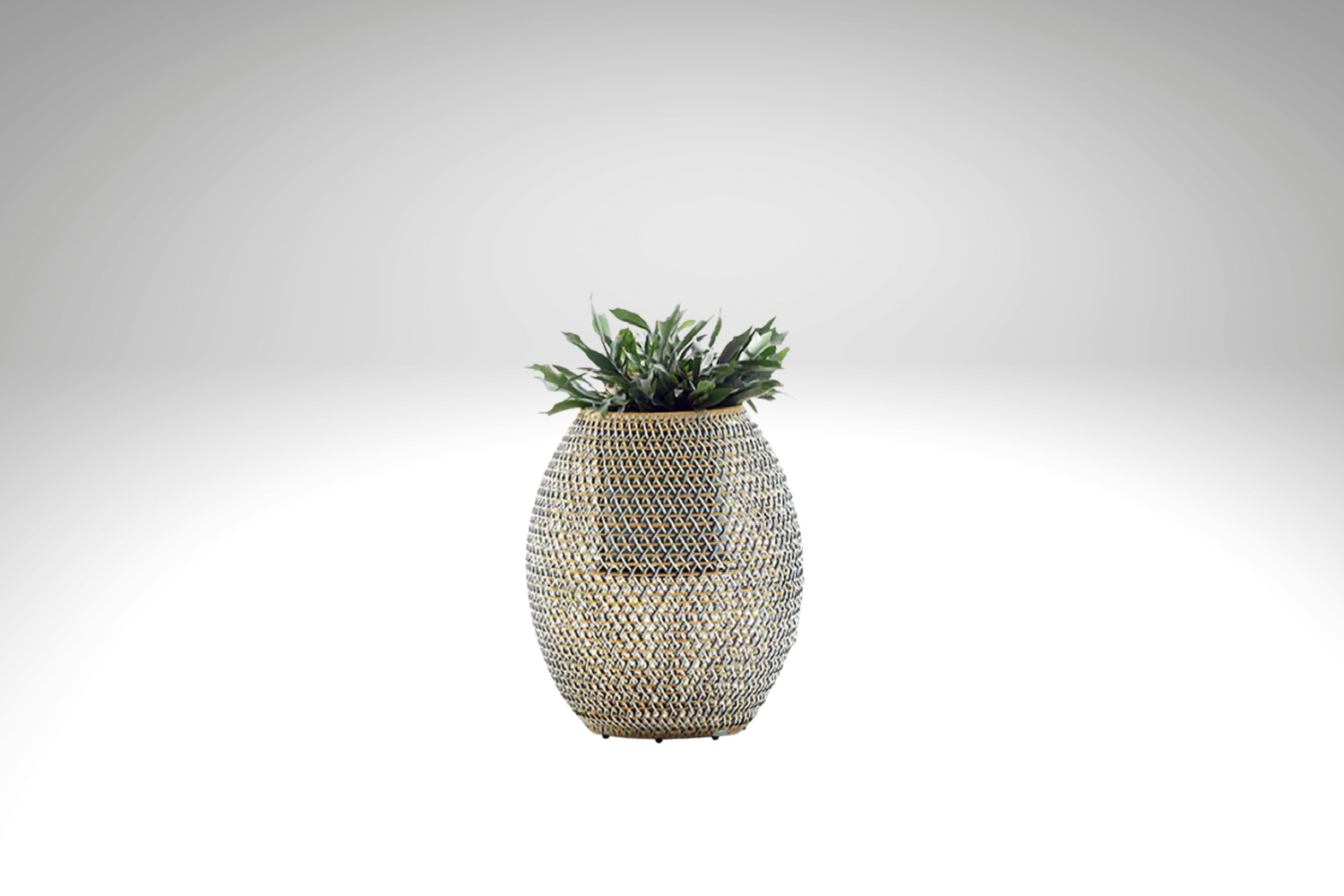 Dala Planter 03