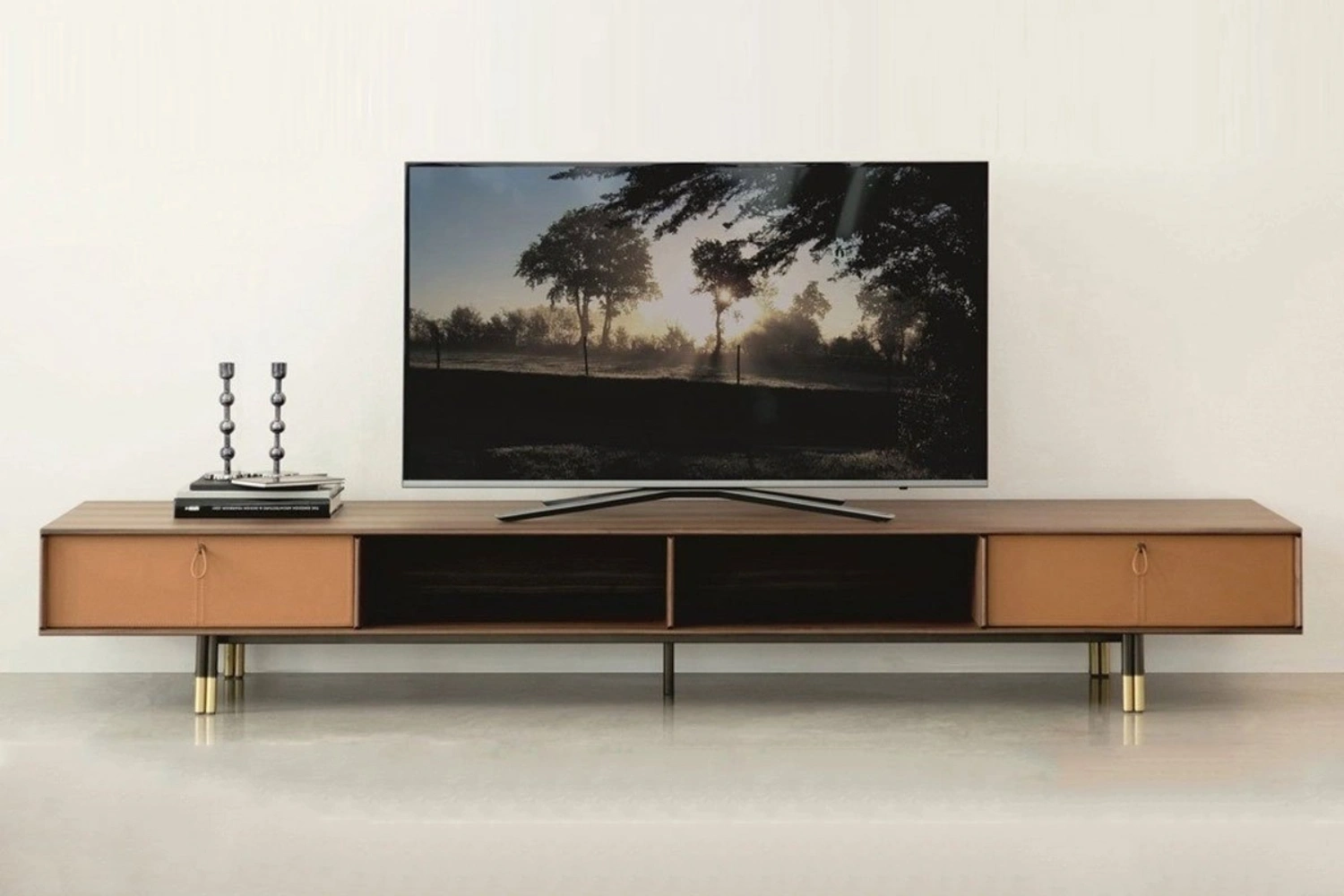 Home Bayus TV 2