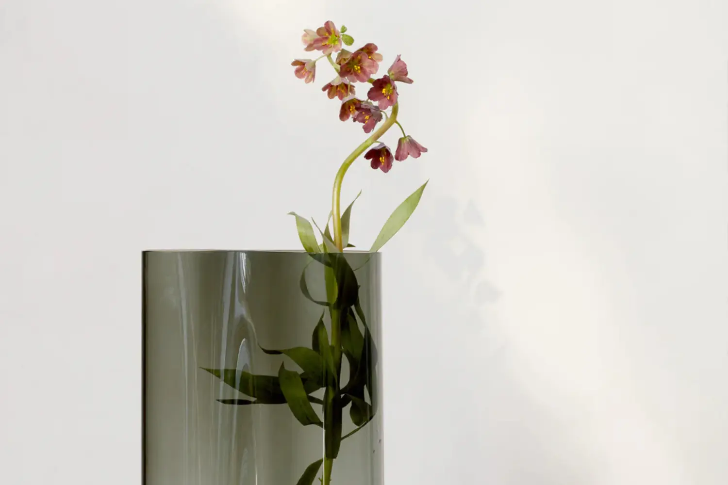 vaso aer
