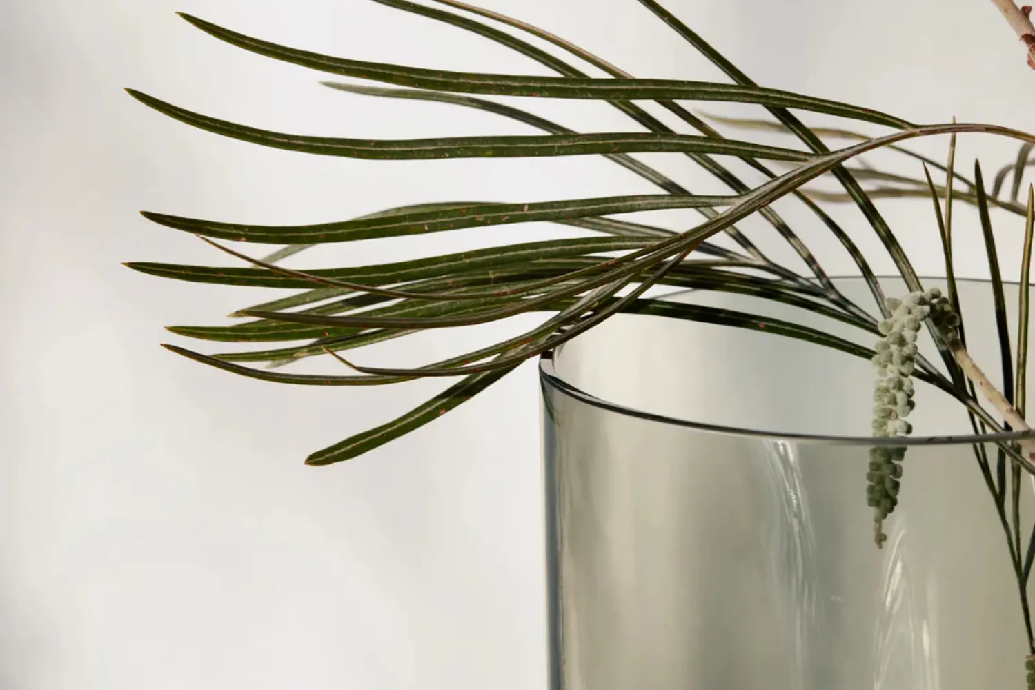 vaso aer (2)