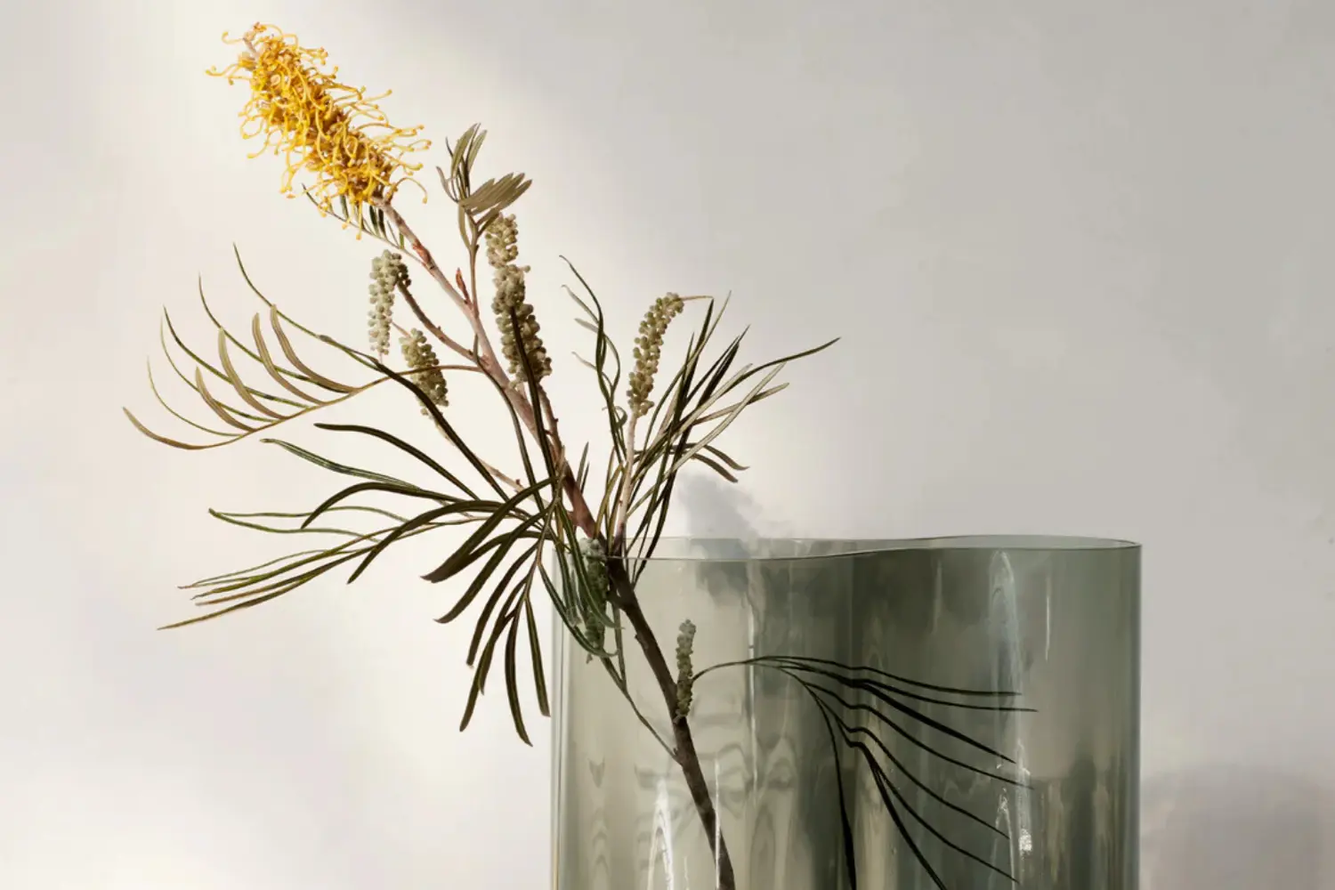 vaso aer (3)