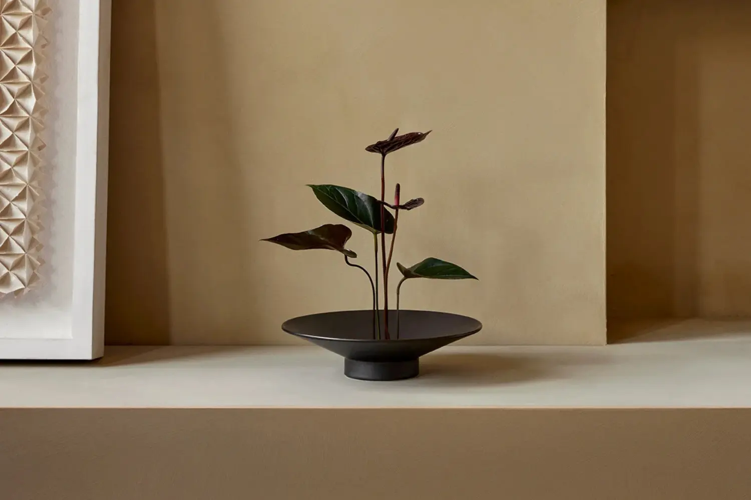 vaso hana (3)