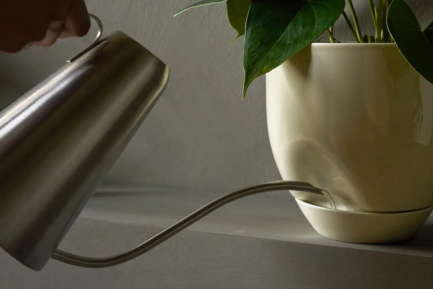 vaso hydrous (4)