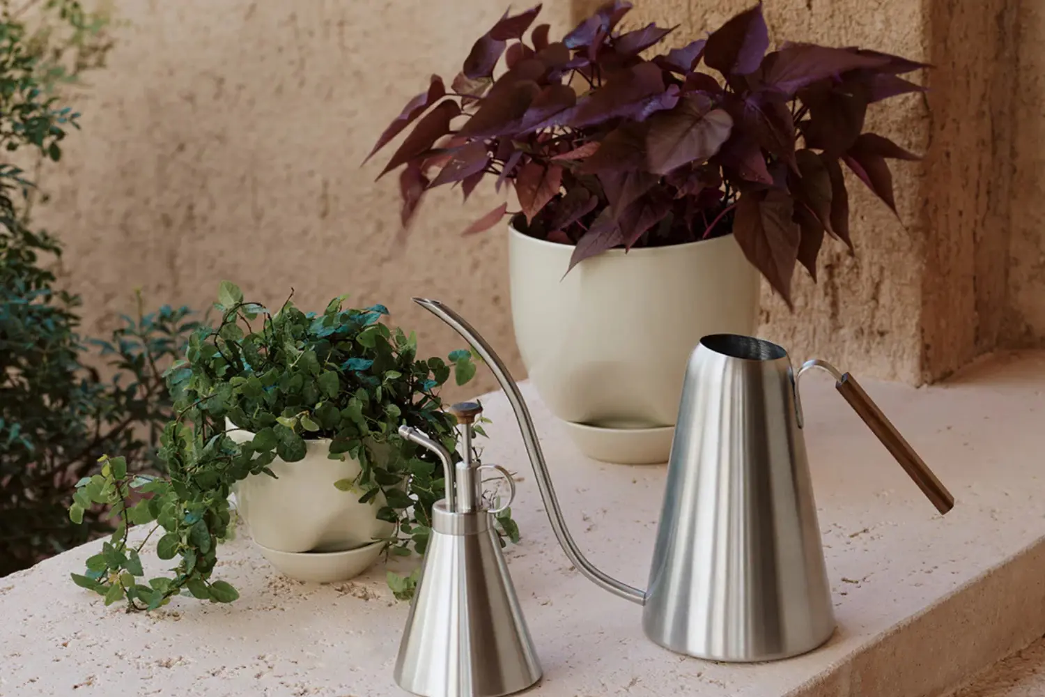 vaso hydrous