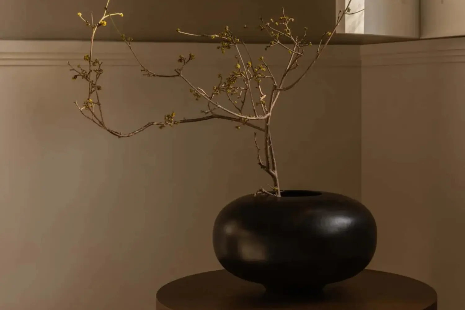 vaso surround (6)