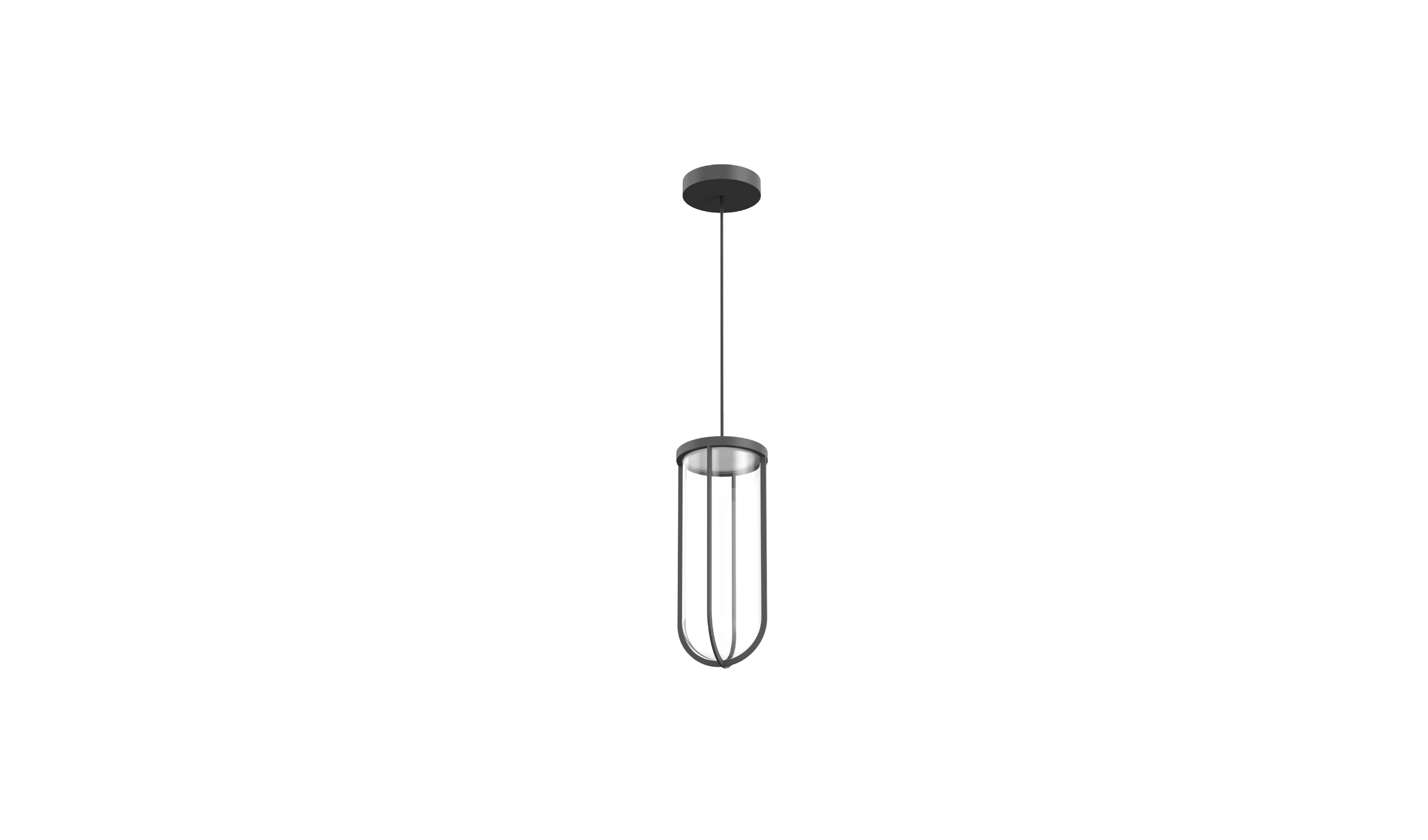 In Vitro Suspension 01