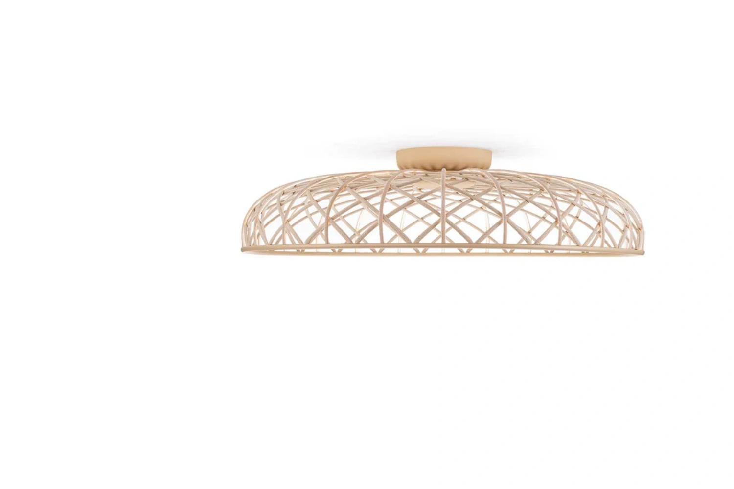 Skynest C 02