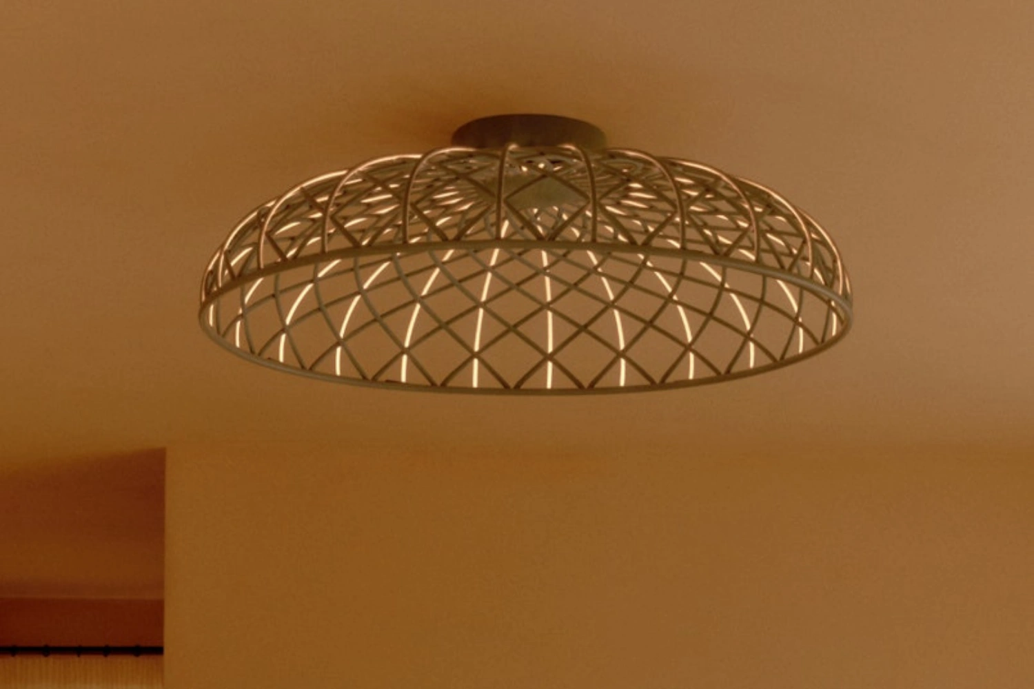 Skynest C 04