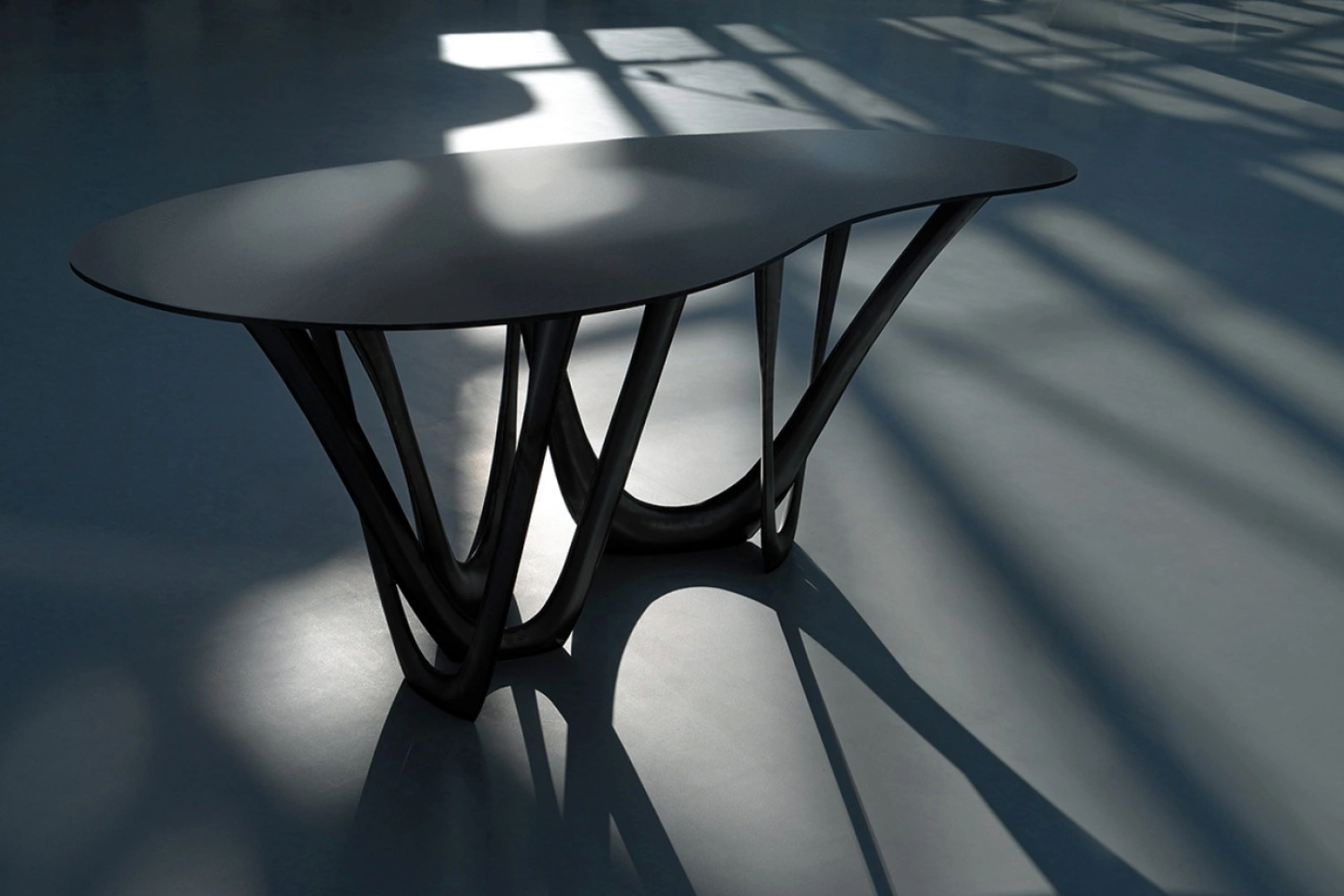 Zieta 02
