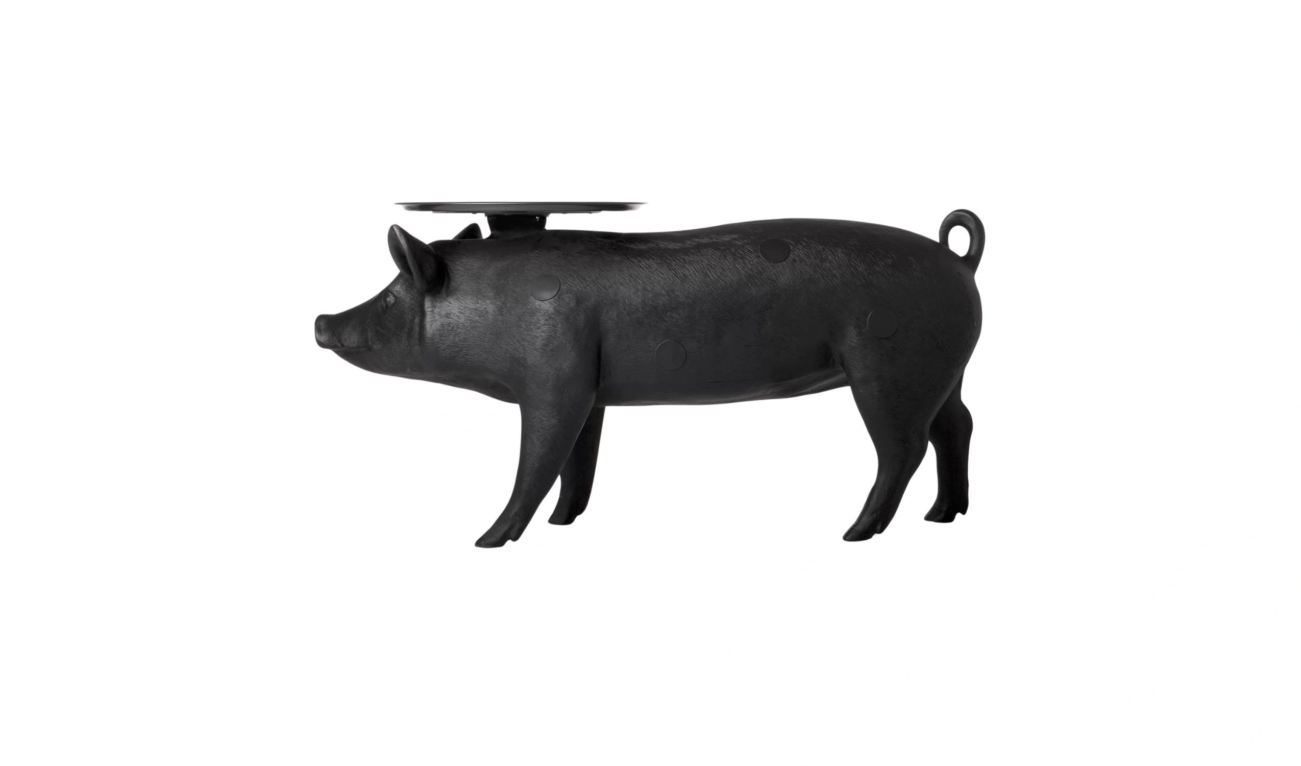 mesa lateral pig 1