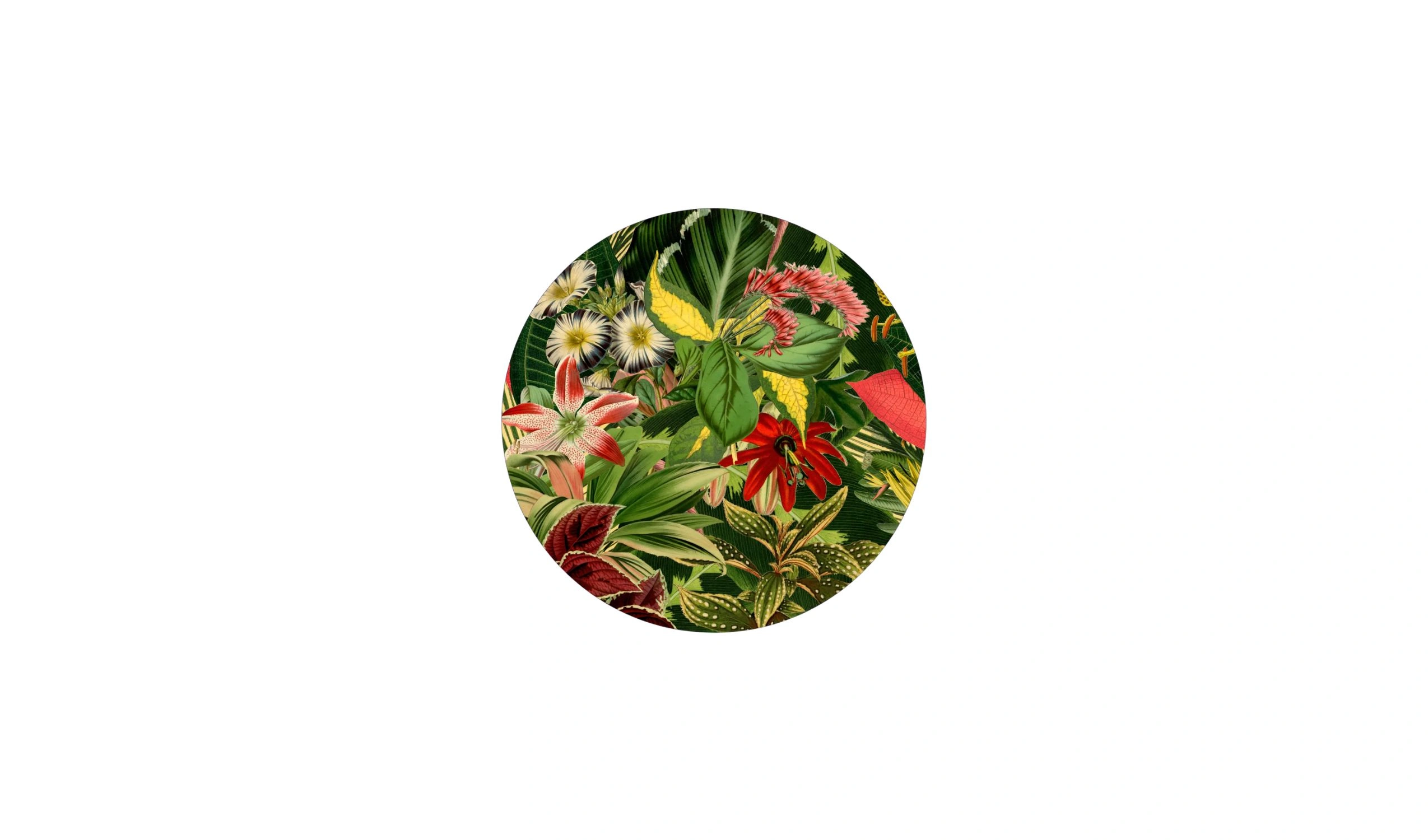 tapete herbarium of extinct plants 1