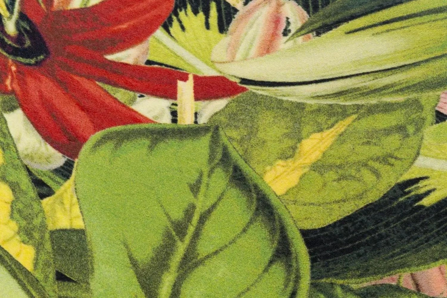 tapete herbarium of extinct plants 3